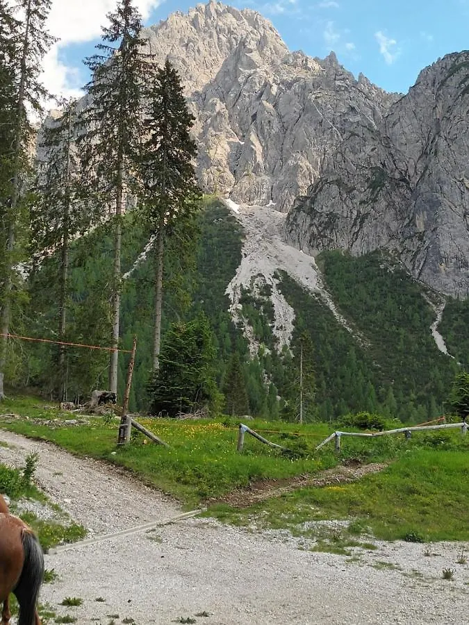 Appartamenti Patrizia San Pietro di Cadore